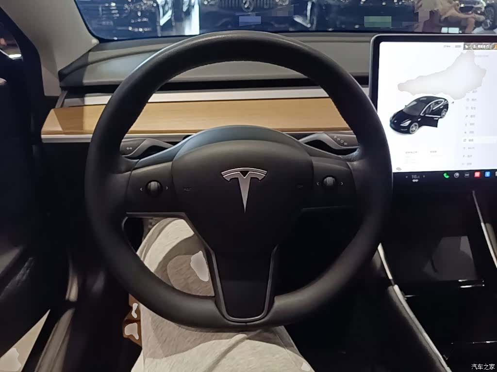Tesla Model 3, 2021 11
