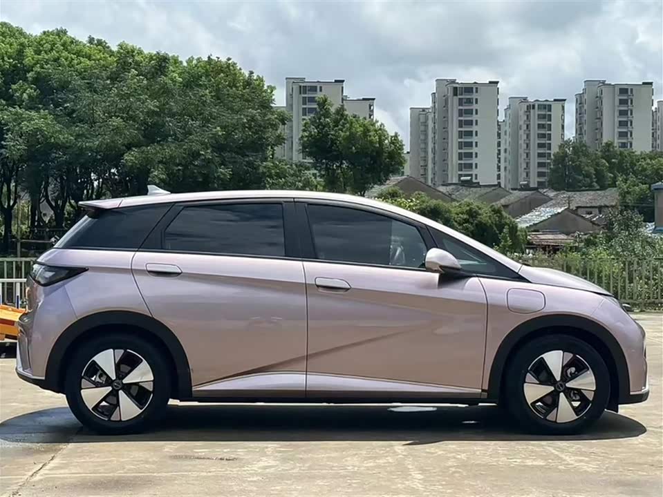 BYD dolphin