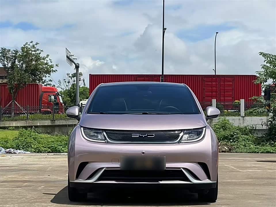BYD dolphin