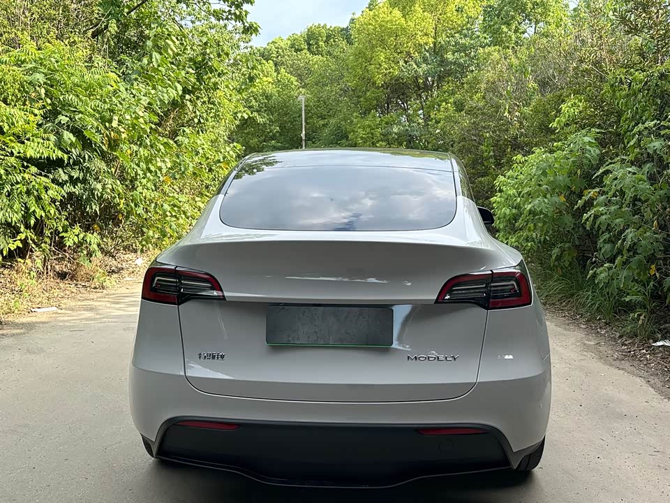Tesla Model Y Tesla Model Y