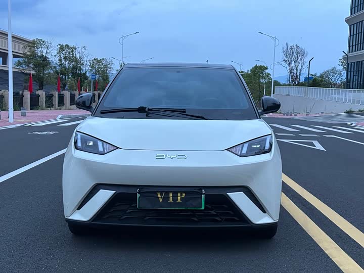 BYD Seagull 2023 zi you ban