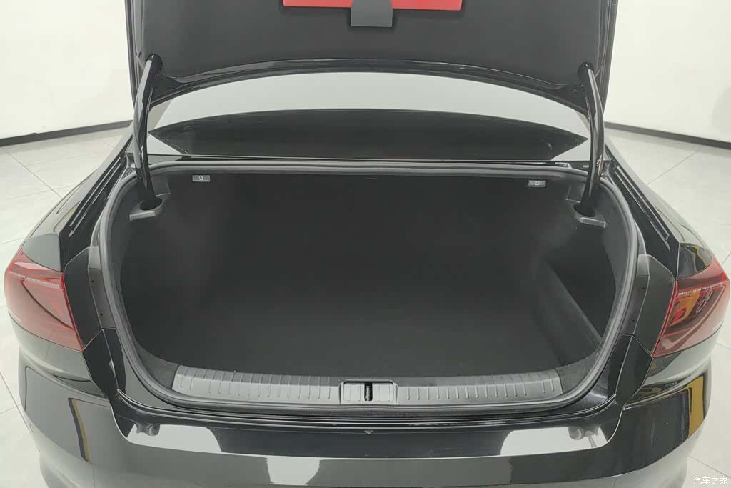 Volkswagen Magotan, 2024 4