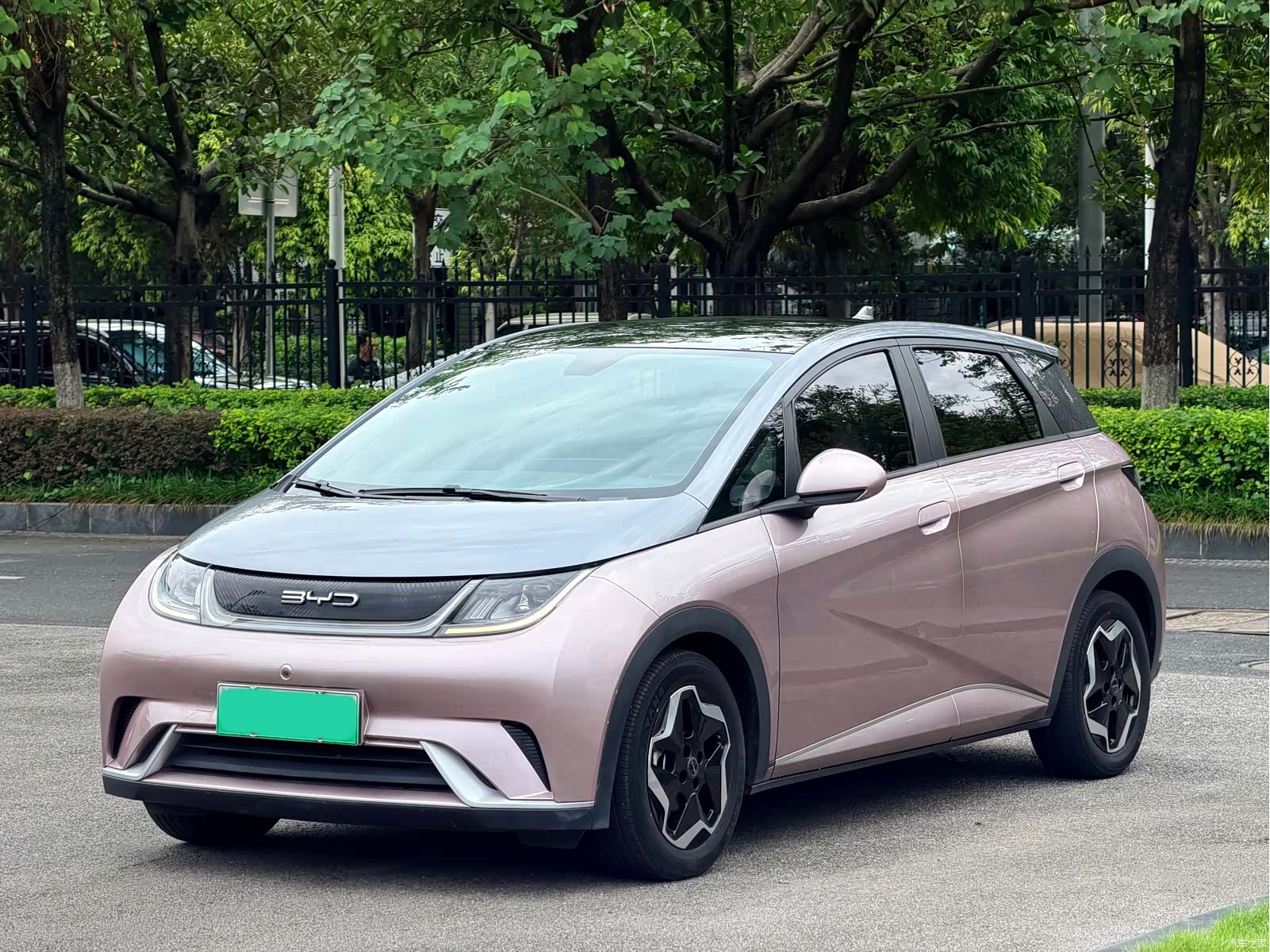 BYD Dolphin, 2022 1