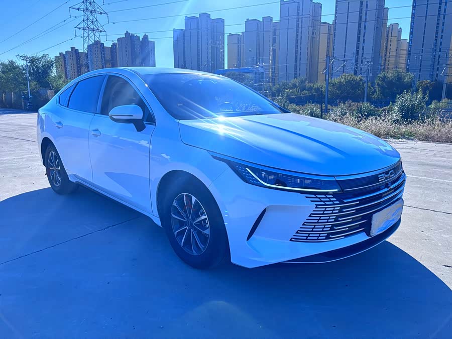 BYD Destroyer 05 2024, фото 3