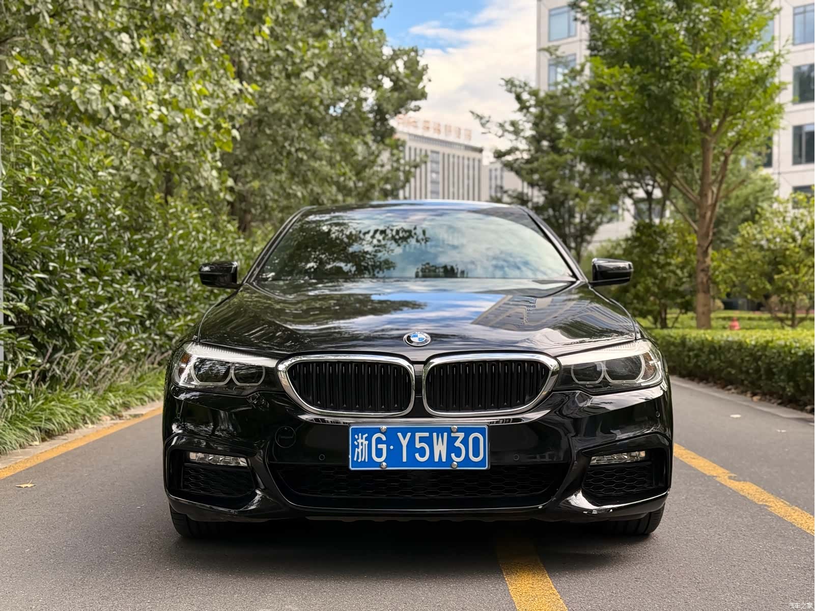 BMW 5 Series, 2017 2