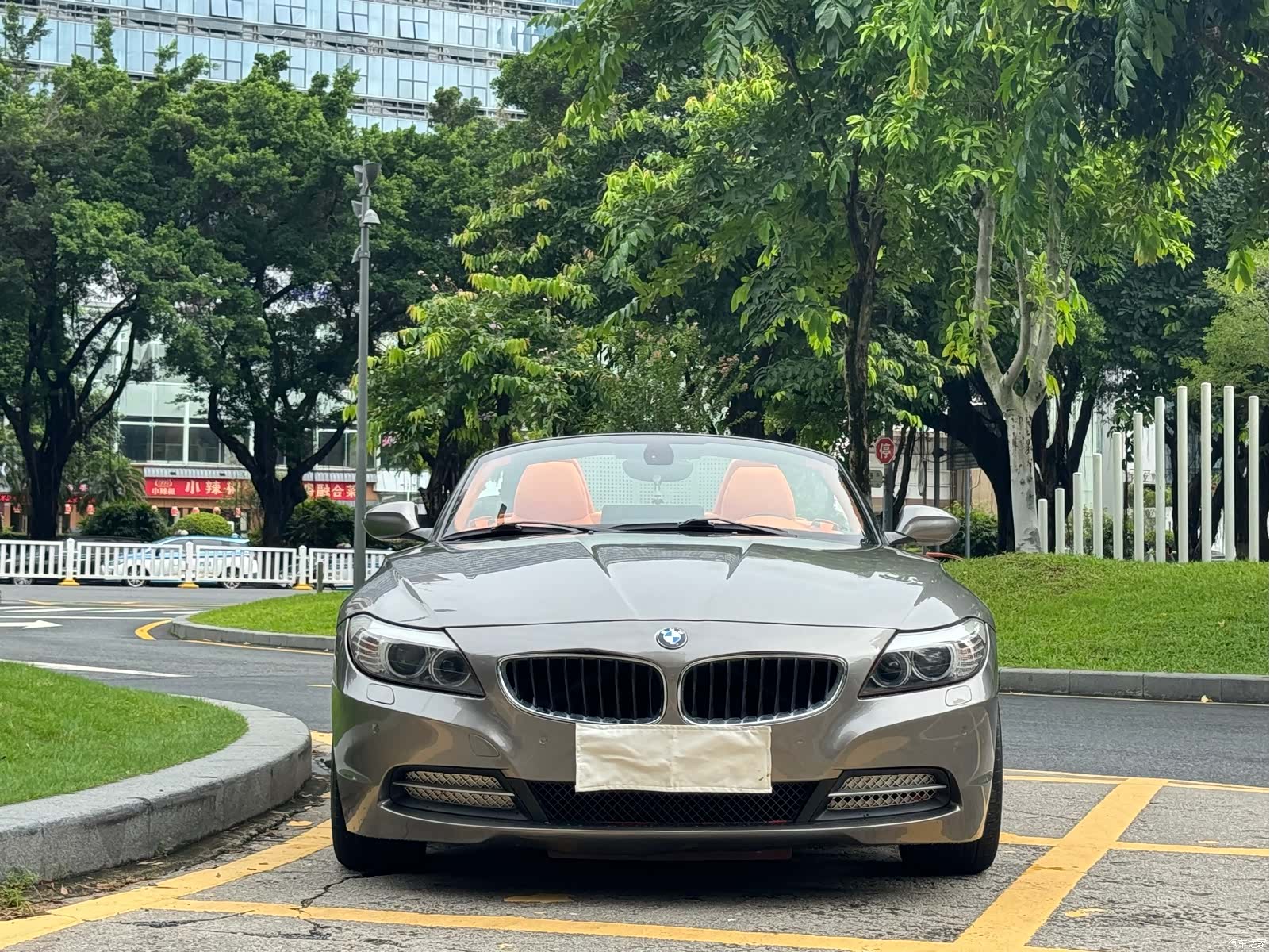 BMW Z4, 2010 12