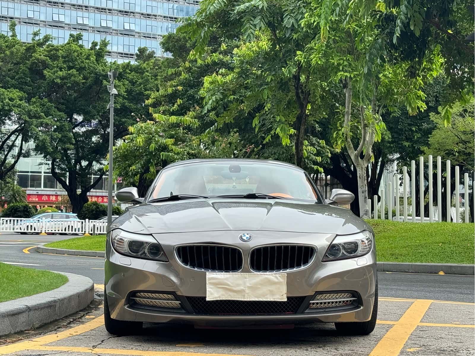 BMW Z4, 2010 2