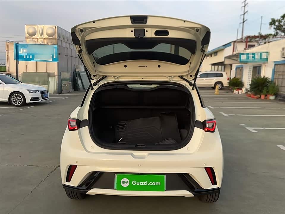 BYD dolphin BYD dolphin