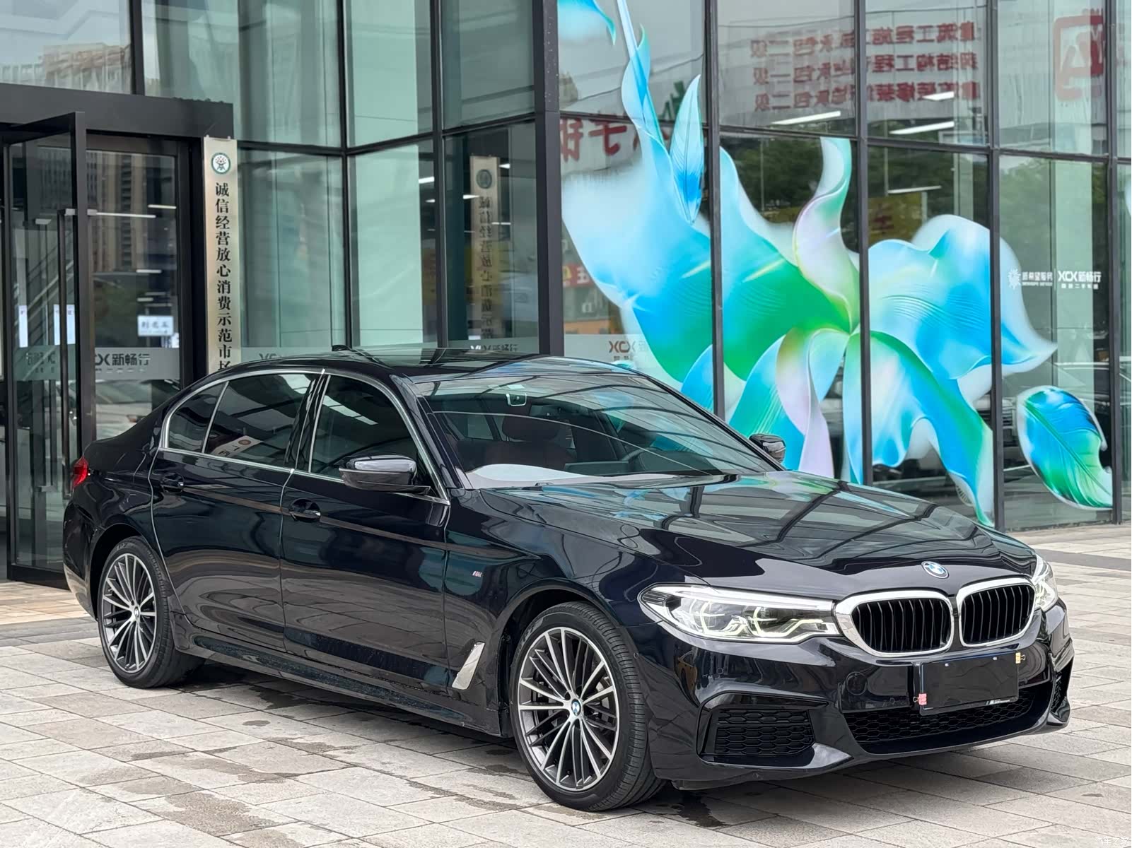 BMW 5 Series, 2020 3