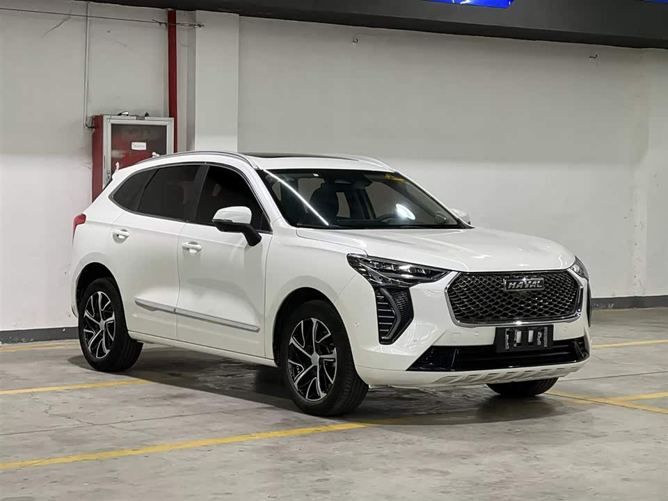 Haval First love