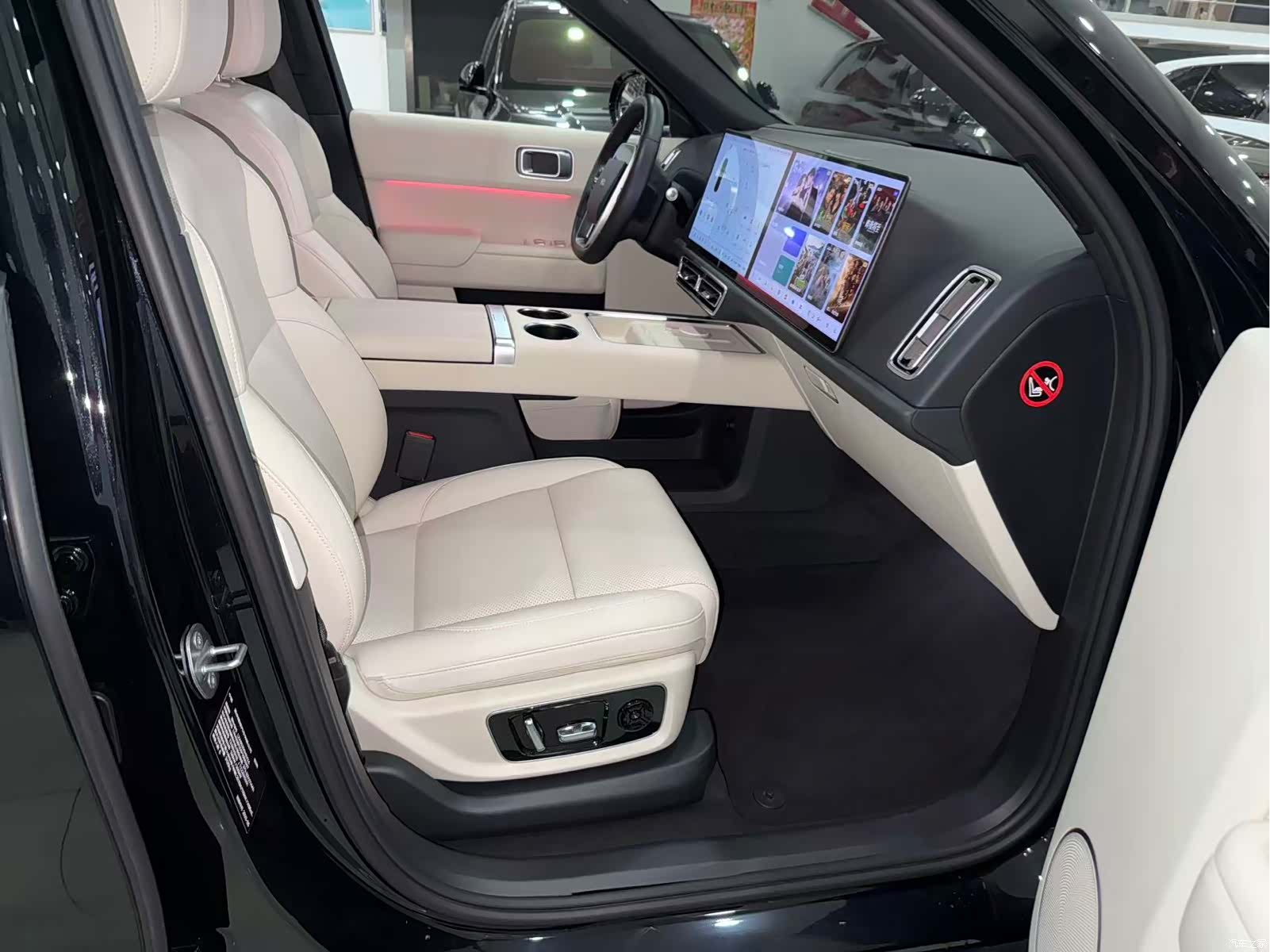 Li Auto L9, 2023 10