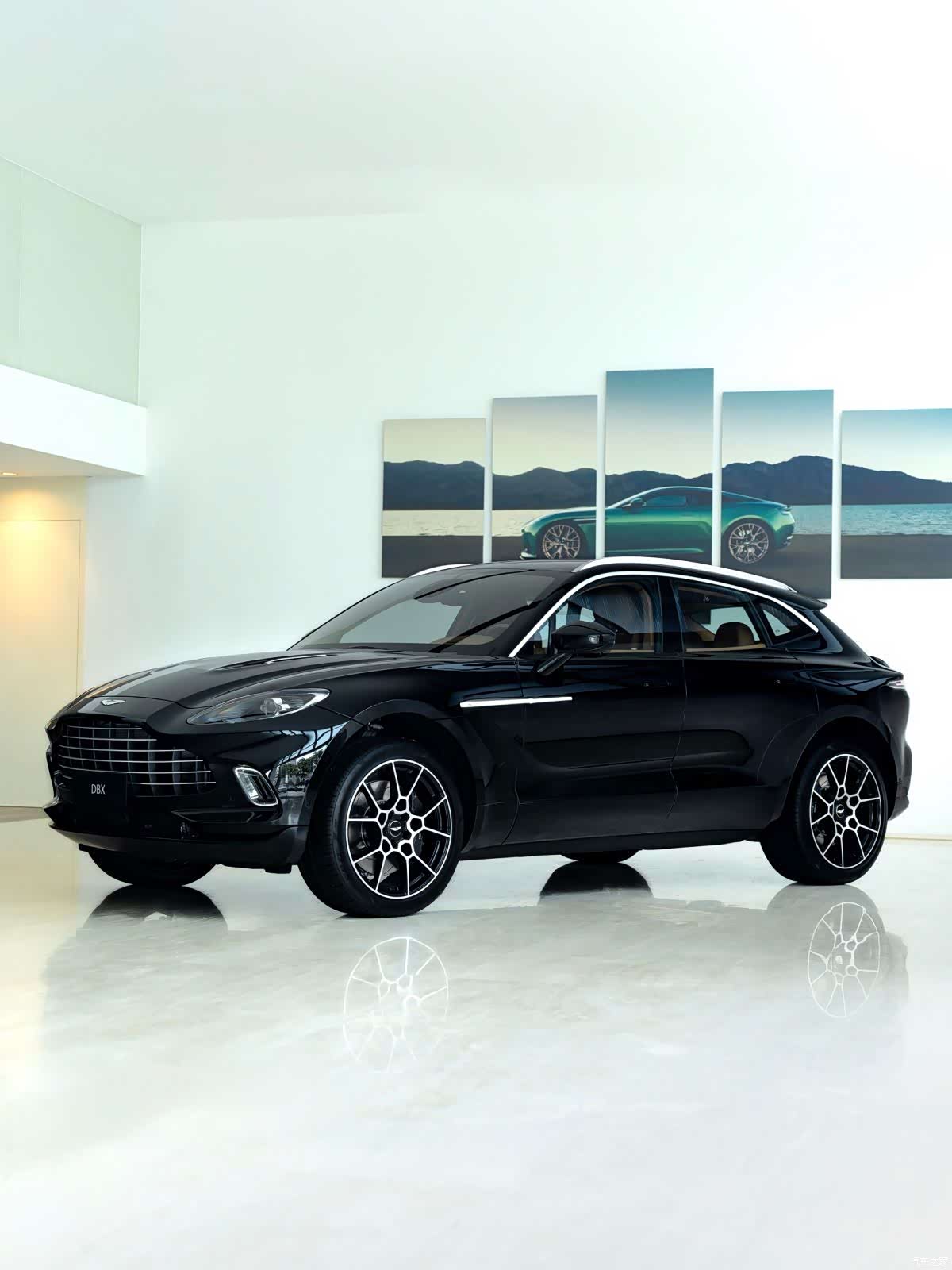 Aston Martin DBX, 1900 все фото
