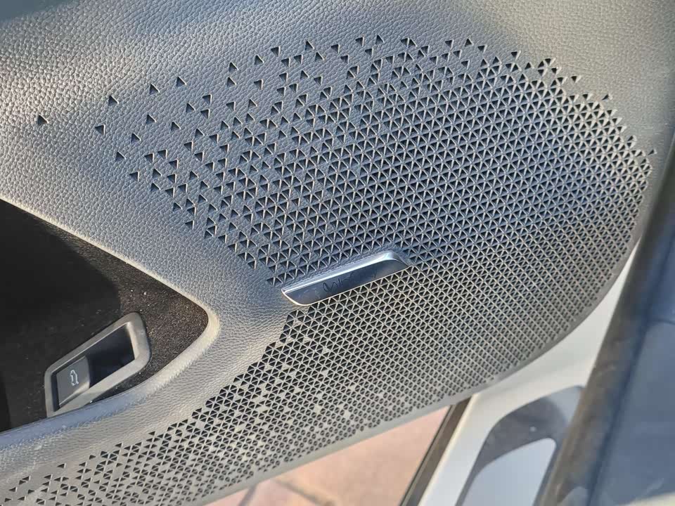 ARCFOX Polar Fox Alpha S