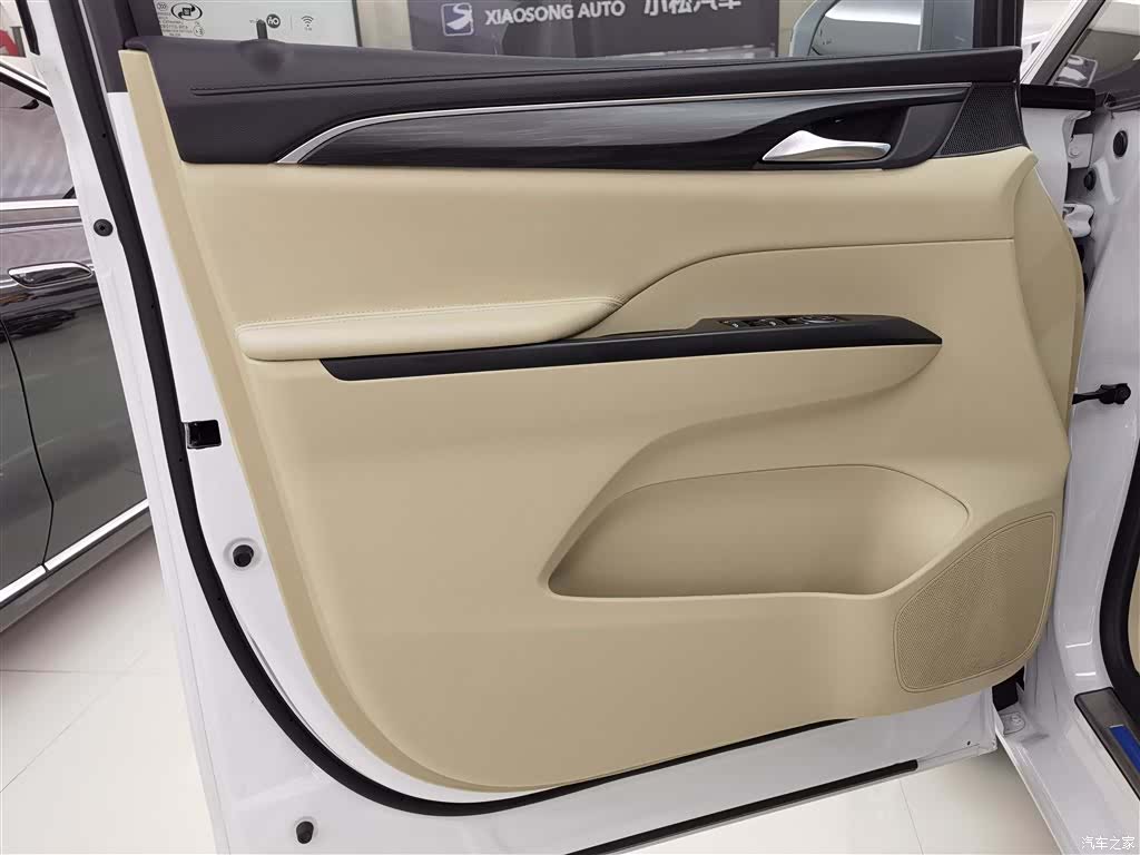 Buick GL8, 2022 8