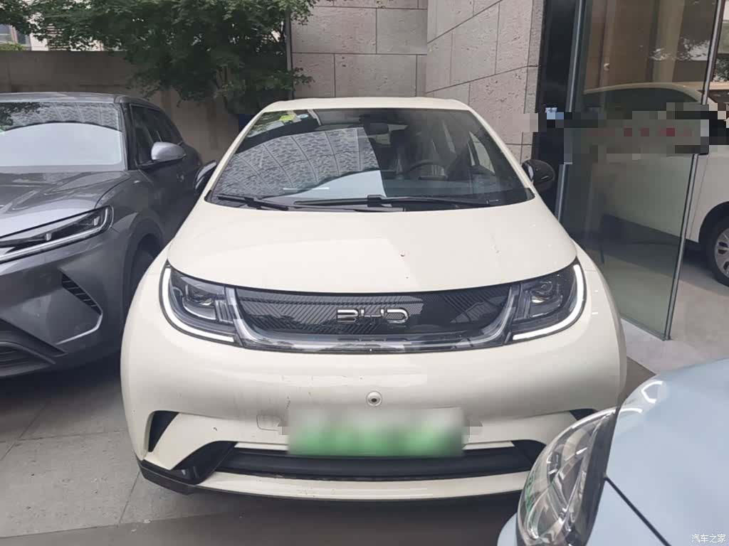 BYD Dolphin, 2026 3