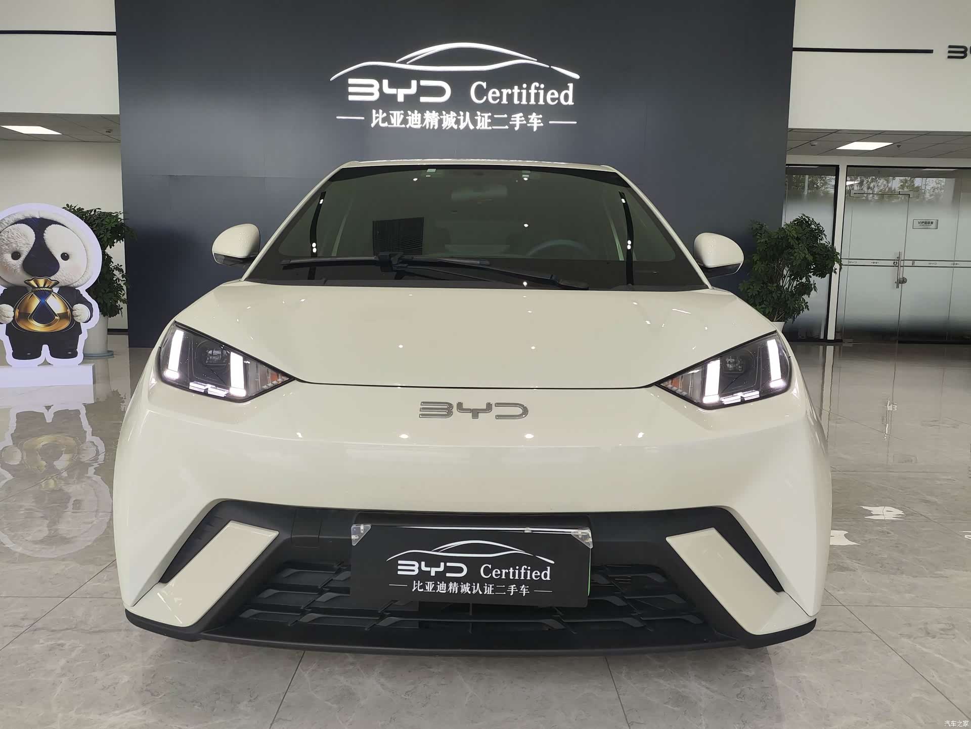 BYD Seagull, 2024 2