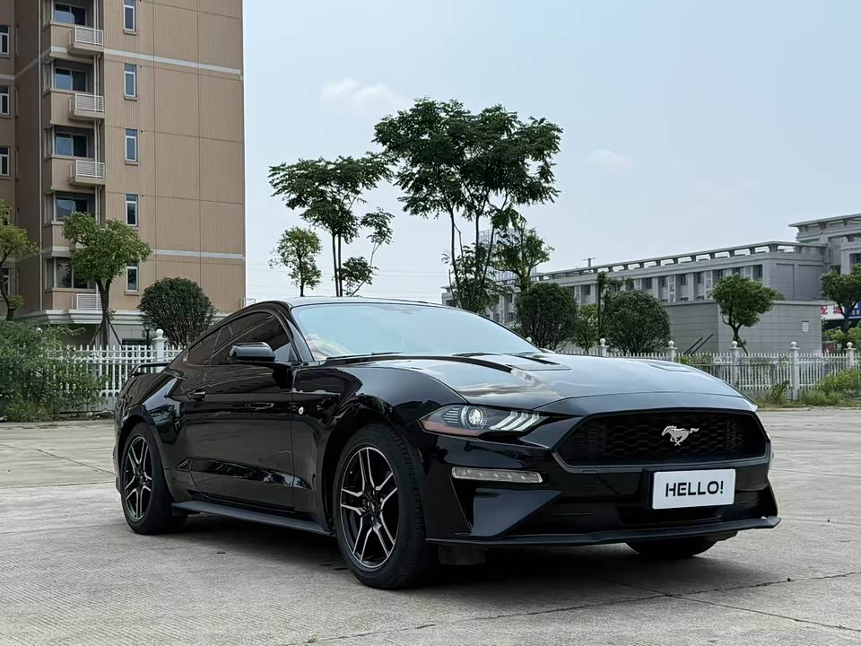 Ford Mustang Ford Mustang
