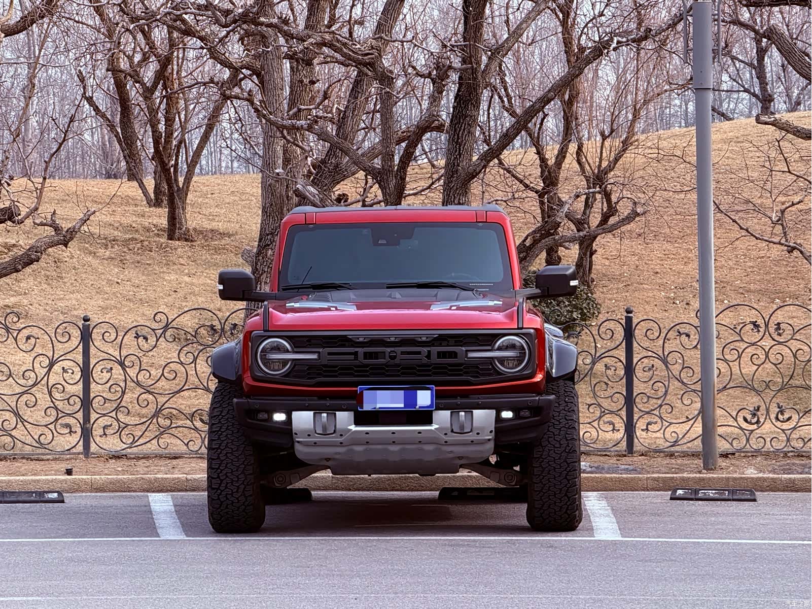 BroncoLieMa Bronco