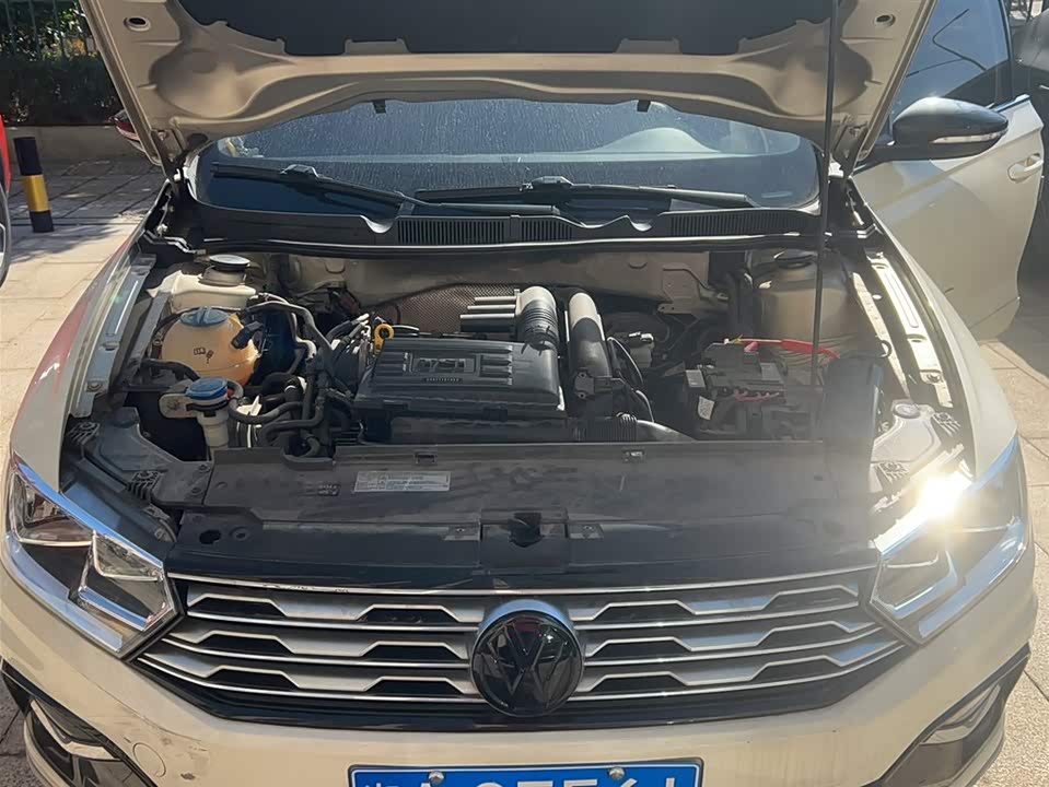 Volkswagen C-TREK Wei Collar