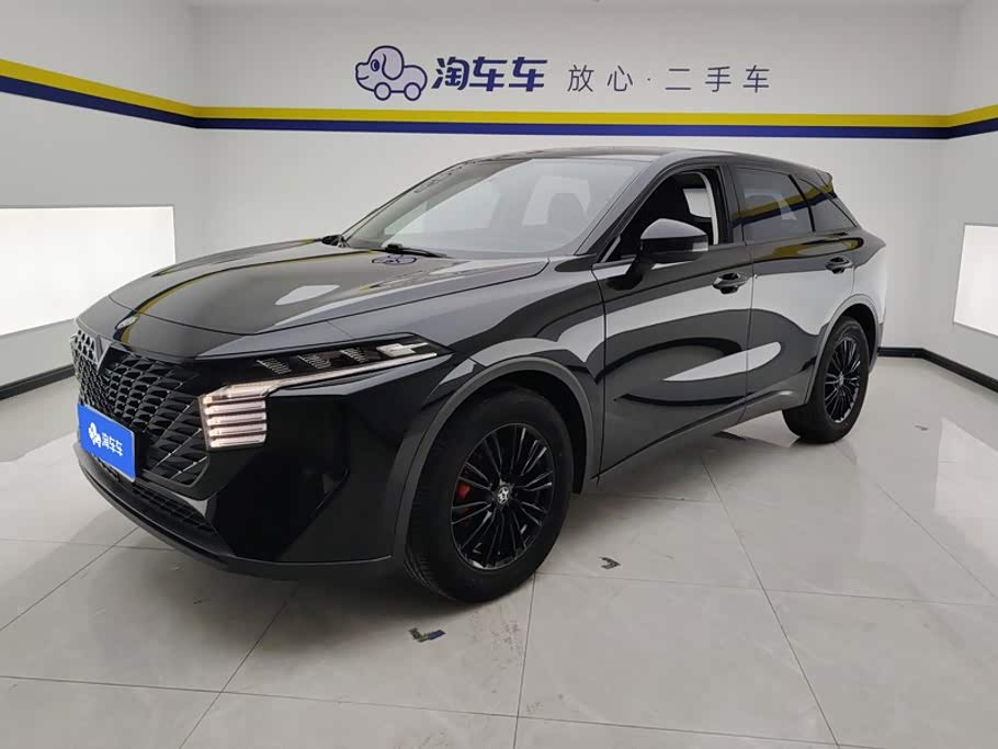 Venucia V 2022 260T