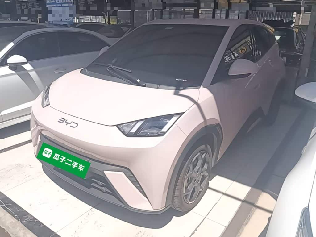 BYD Seagull