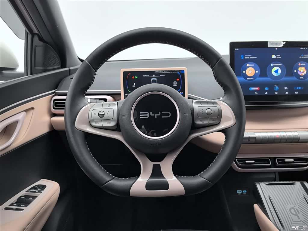 BYD Seagull, 2024 11