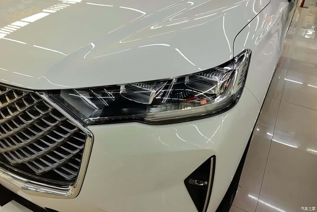 Haval H6, 2024 все фото