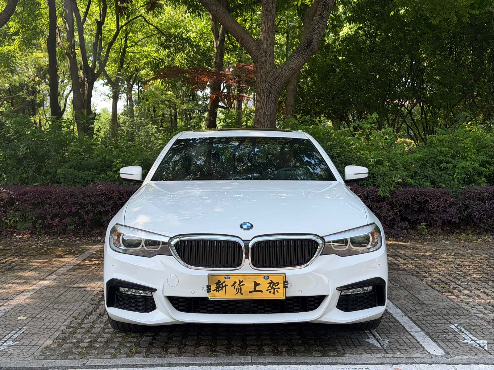BMW 5 Series, 2018 2