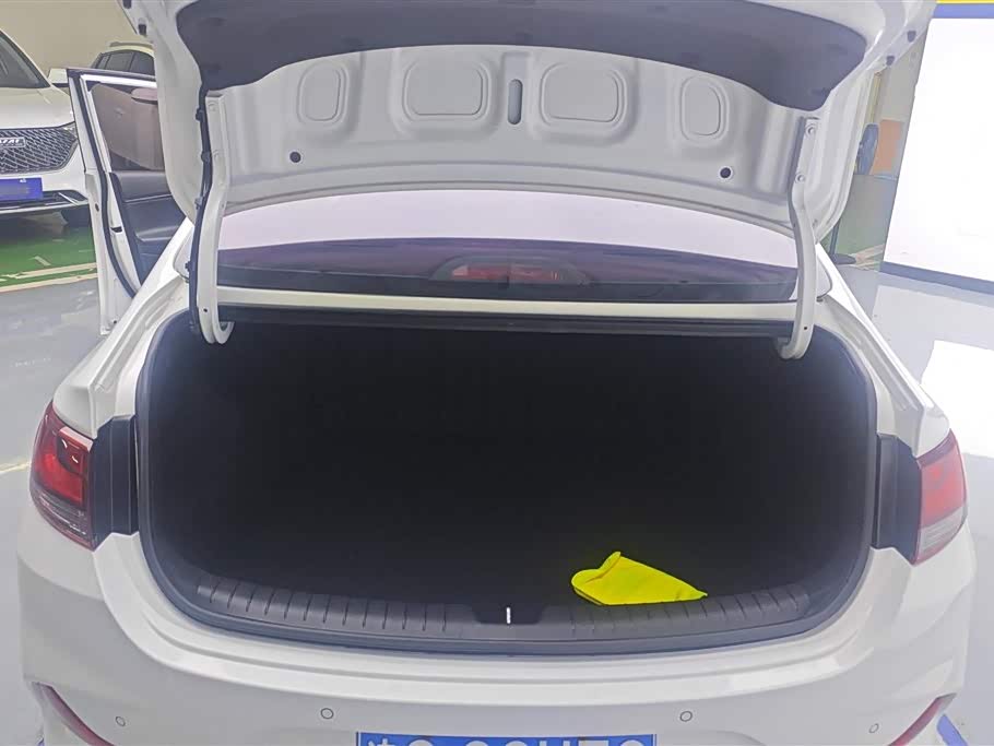 Hyundai Yuedong
