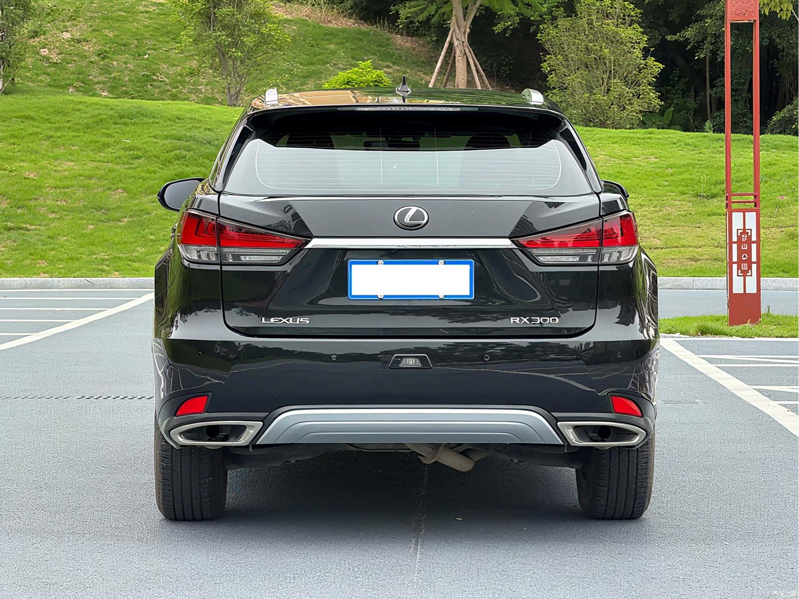 Lexus RX, 2021 6