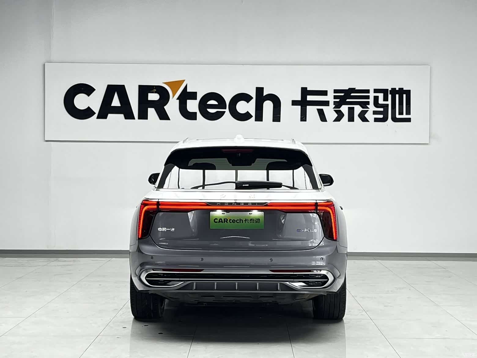 Hongqi E-HS9, 2023 все фото