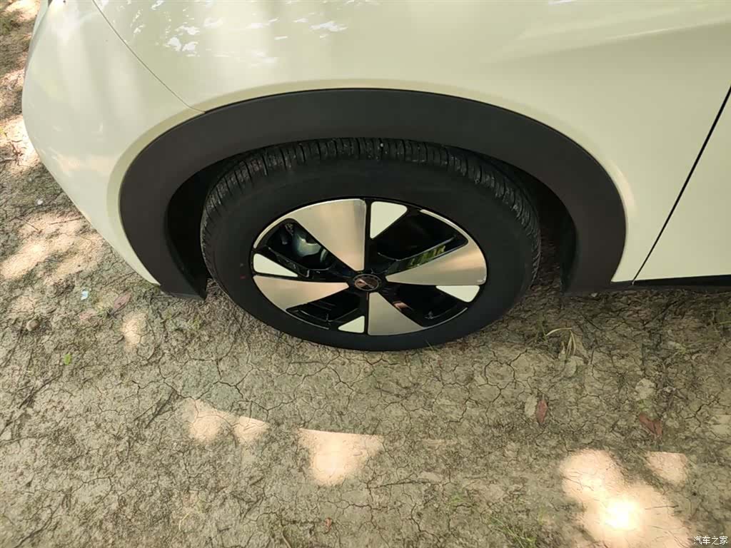 BYD Dolphin, 2023 23