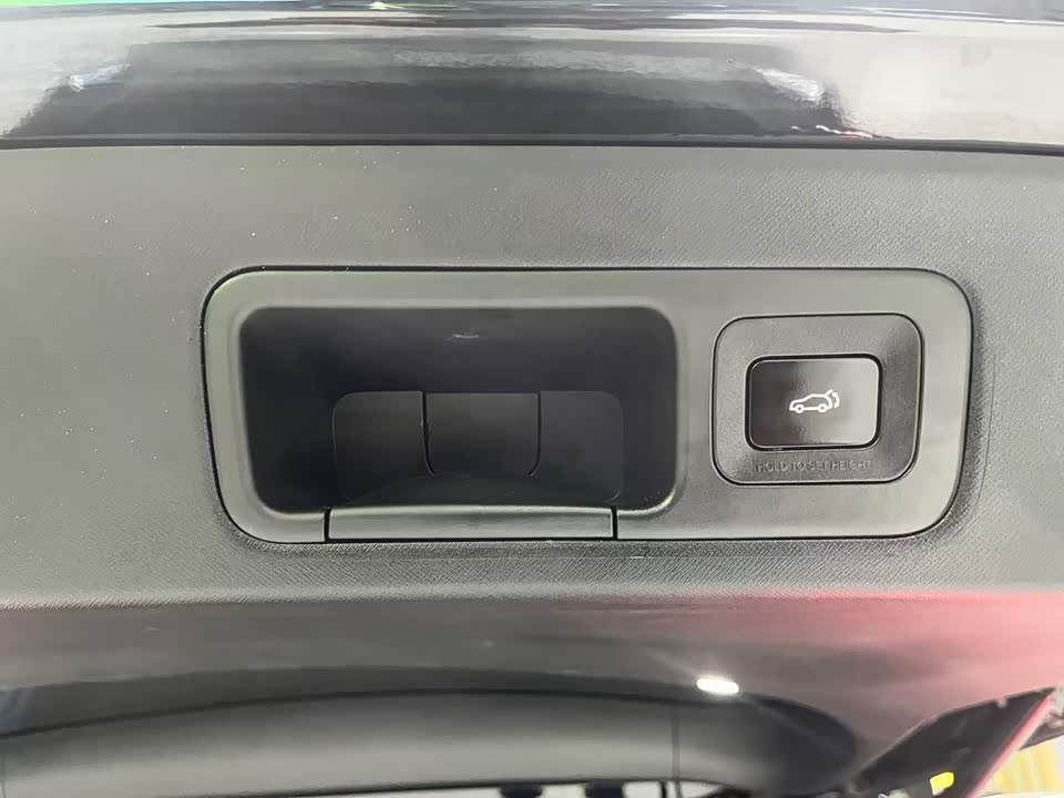 Trumpchi Trumpchi E9