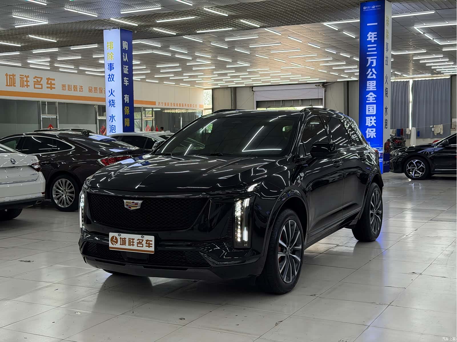 Cadillac XT5, 2025 1