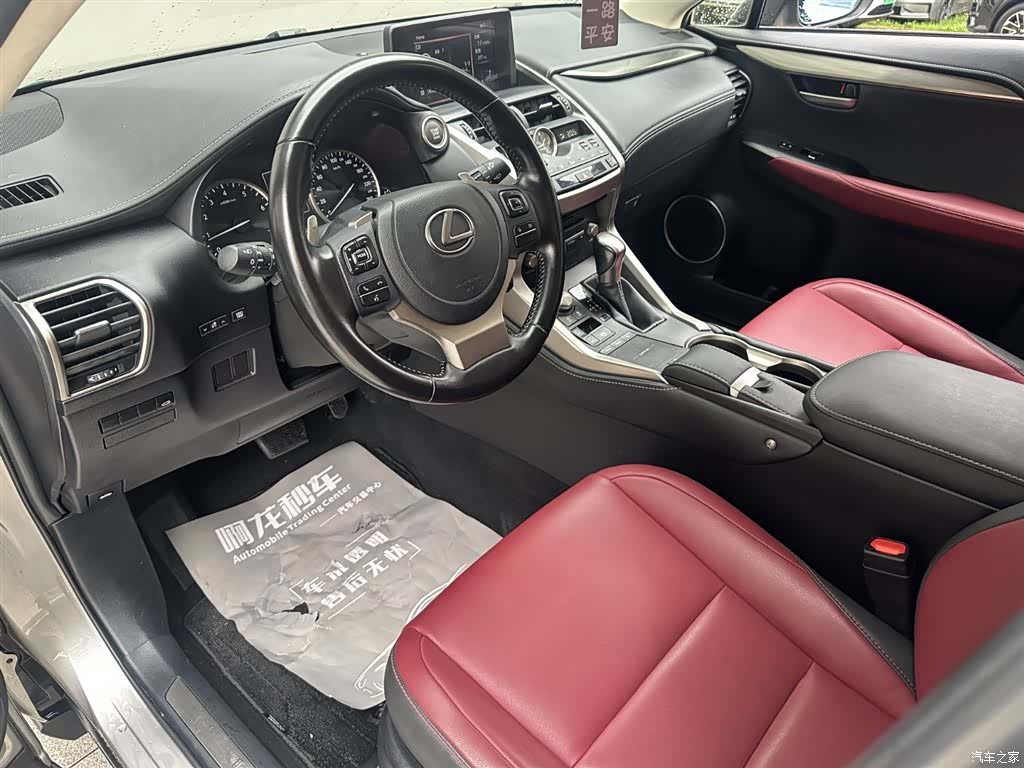 Lexus NX, 2021 9