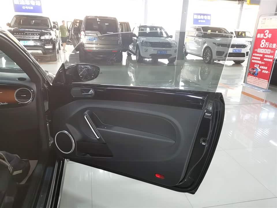 Volkswagen Beetle