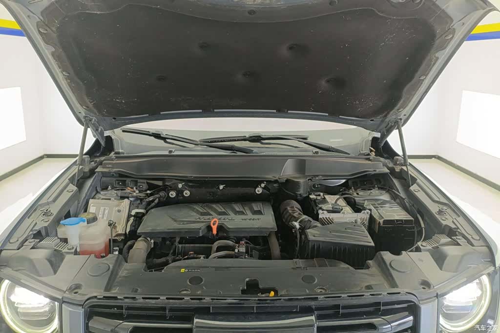 Haval Big Dog, 2021 10