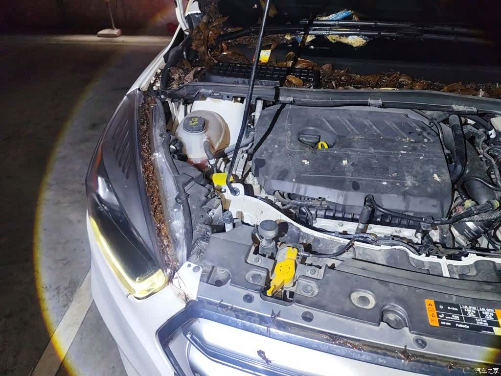 Ford Kuga, 2018 23
