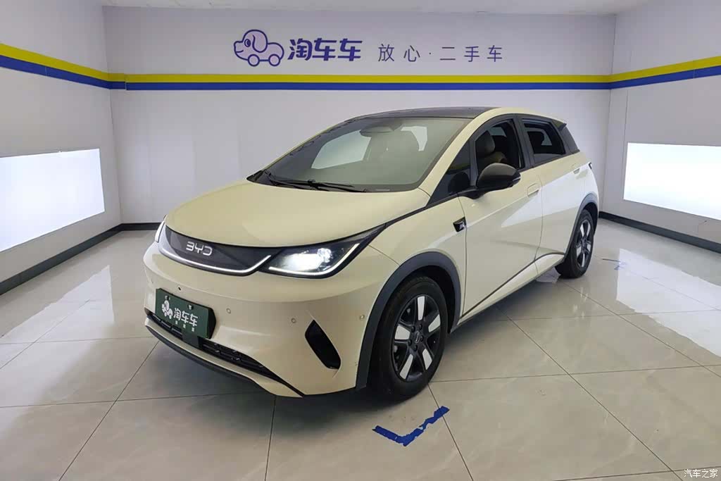 BYD Dolphin, 2025 1