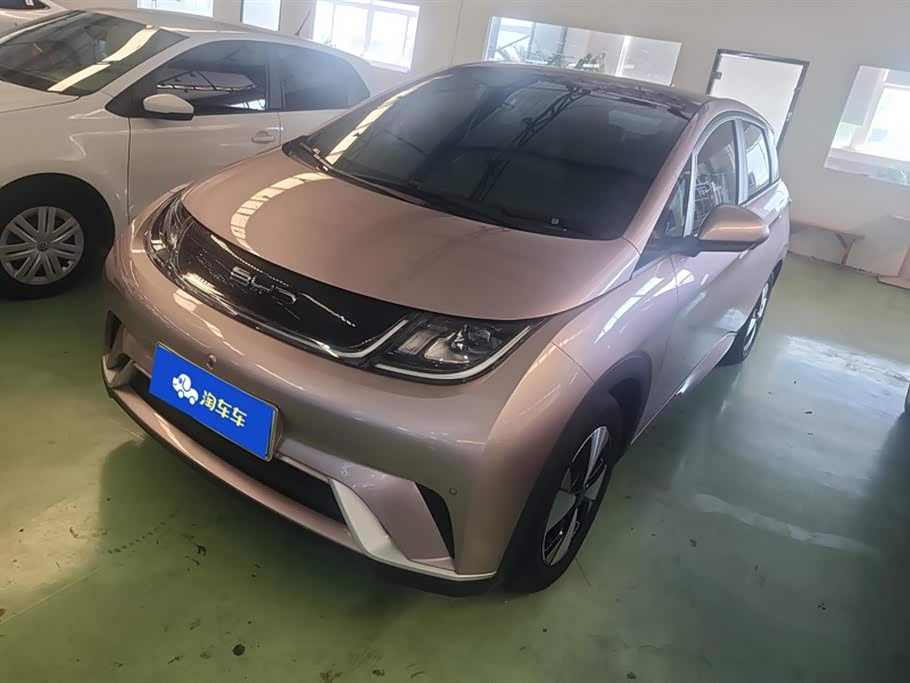 BYD dolphin