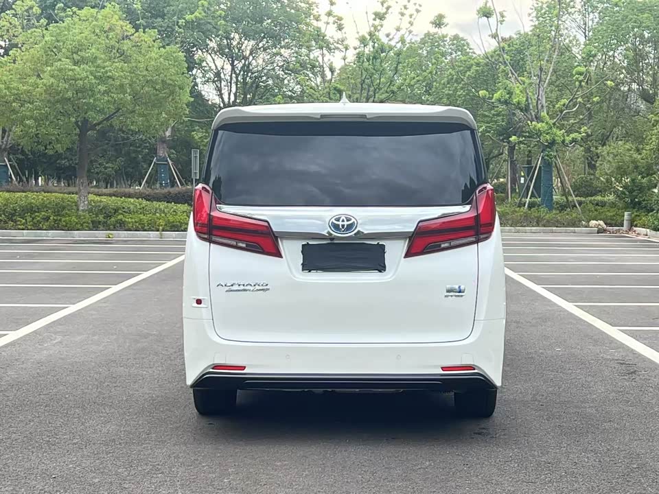 Toyota Elfa