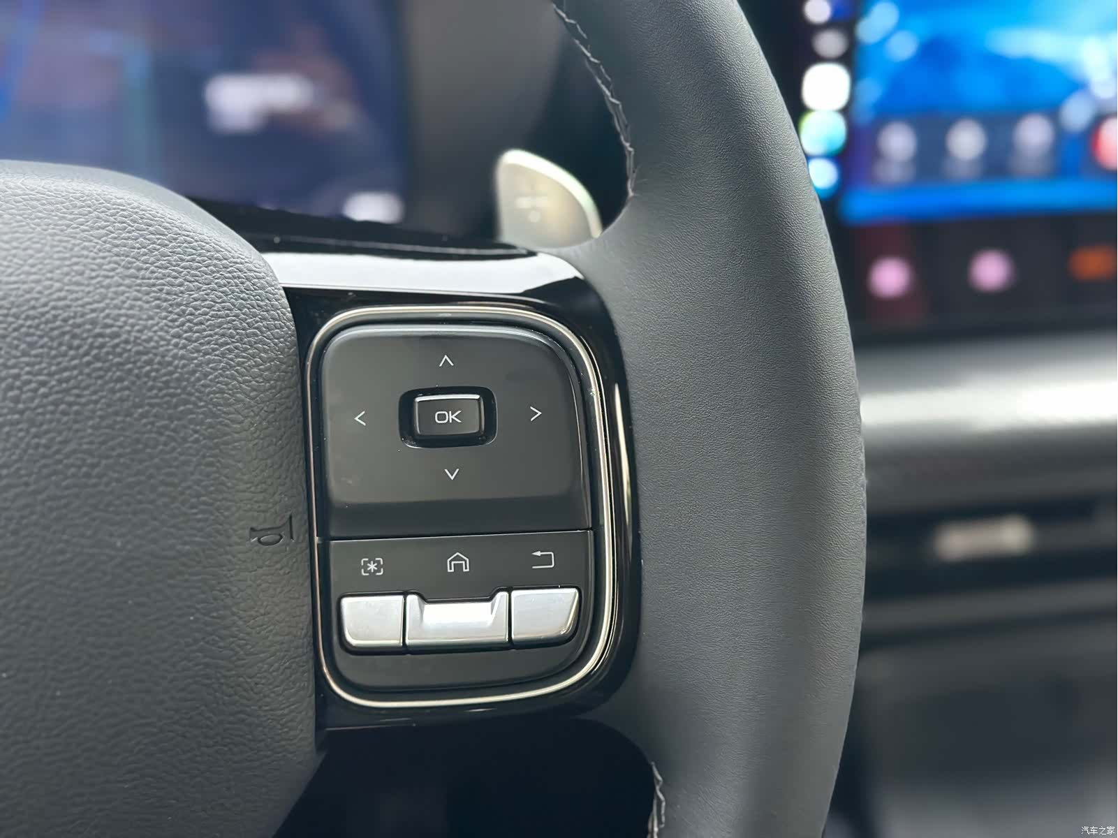 Haval Cool Dog, 2022 20
