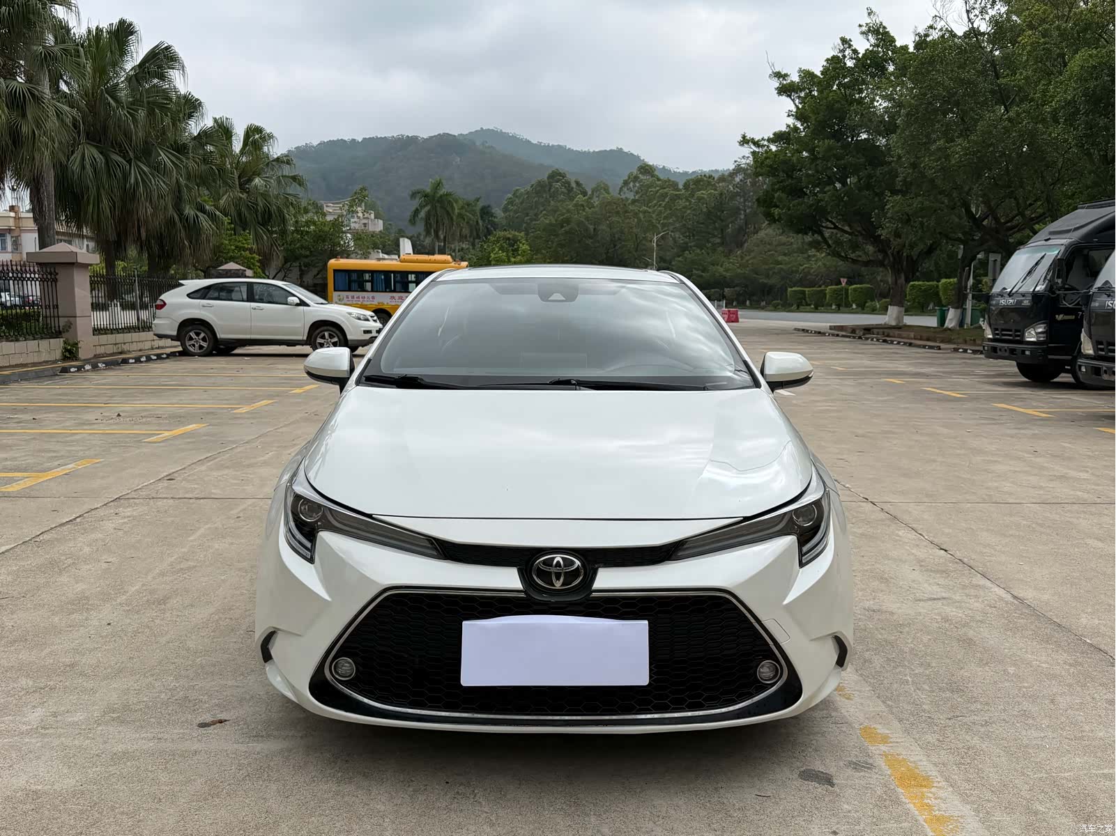 Toyota Levin, 2020 2