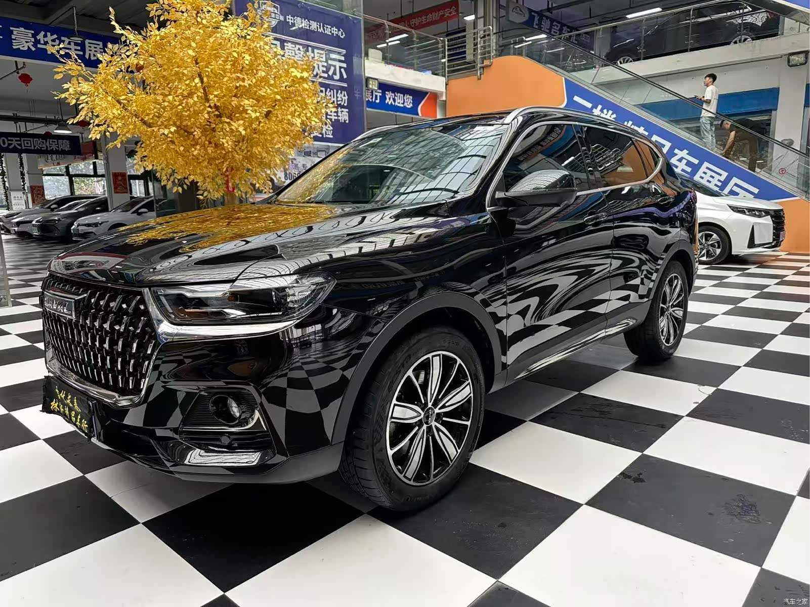 Haval H6, 2023 1