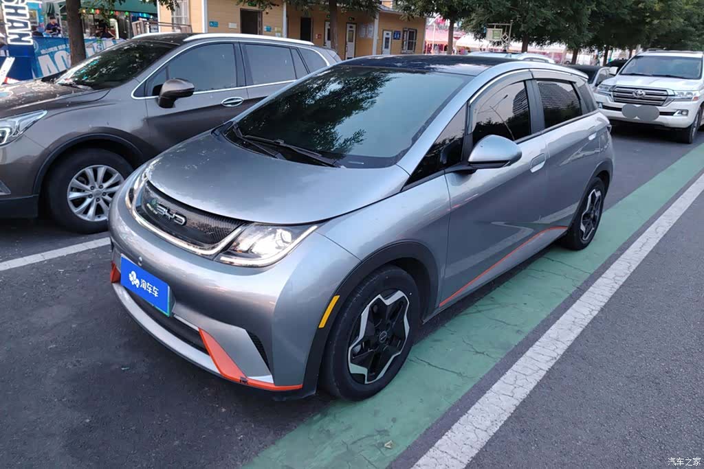 BYD Dolphin, 2022 1