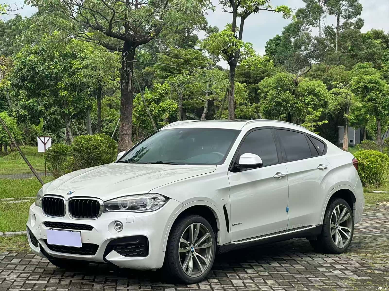 BMW X6, 2019 1