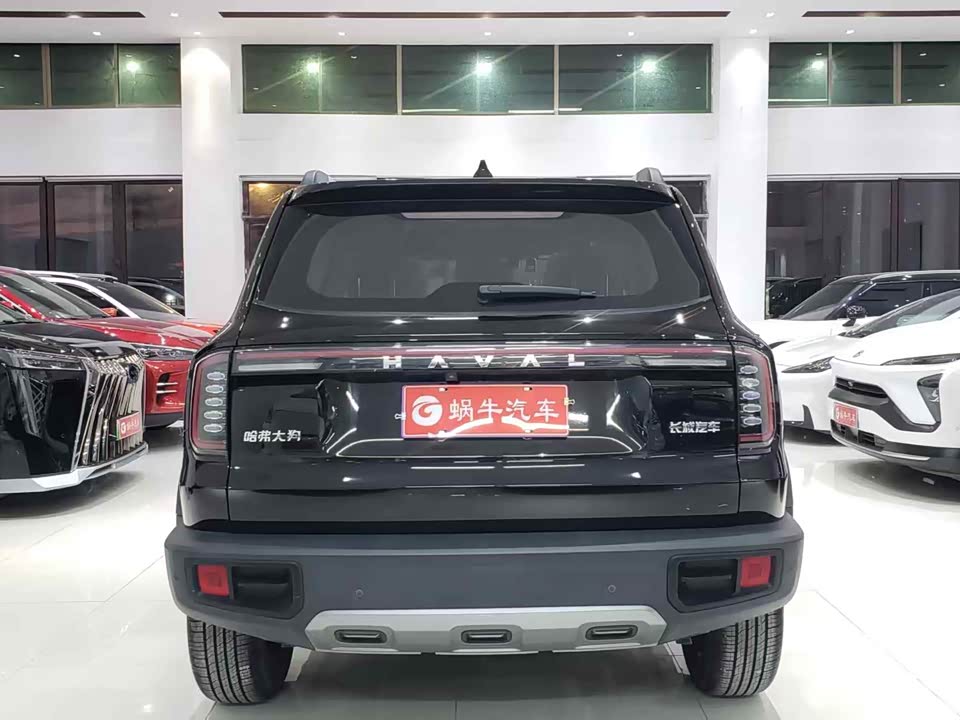 Haval Big dog