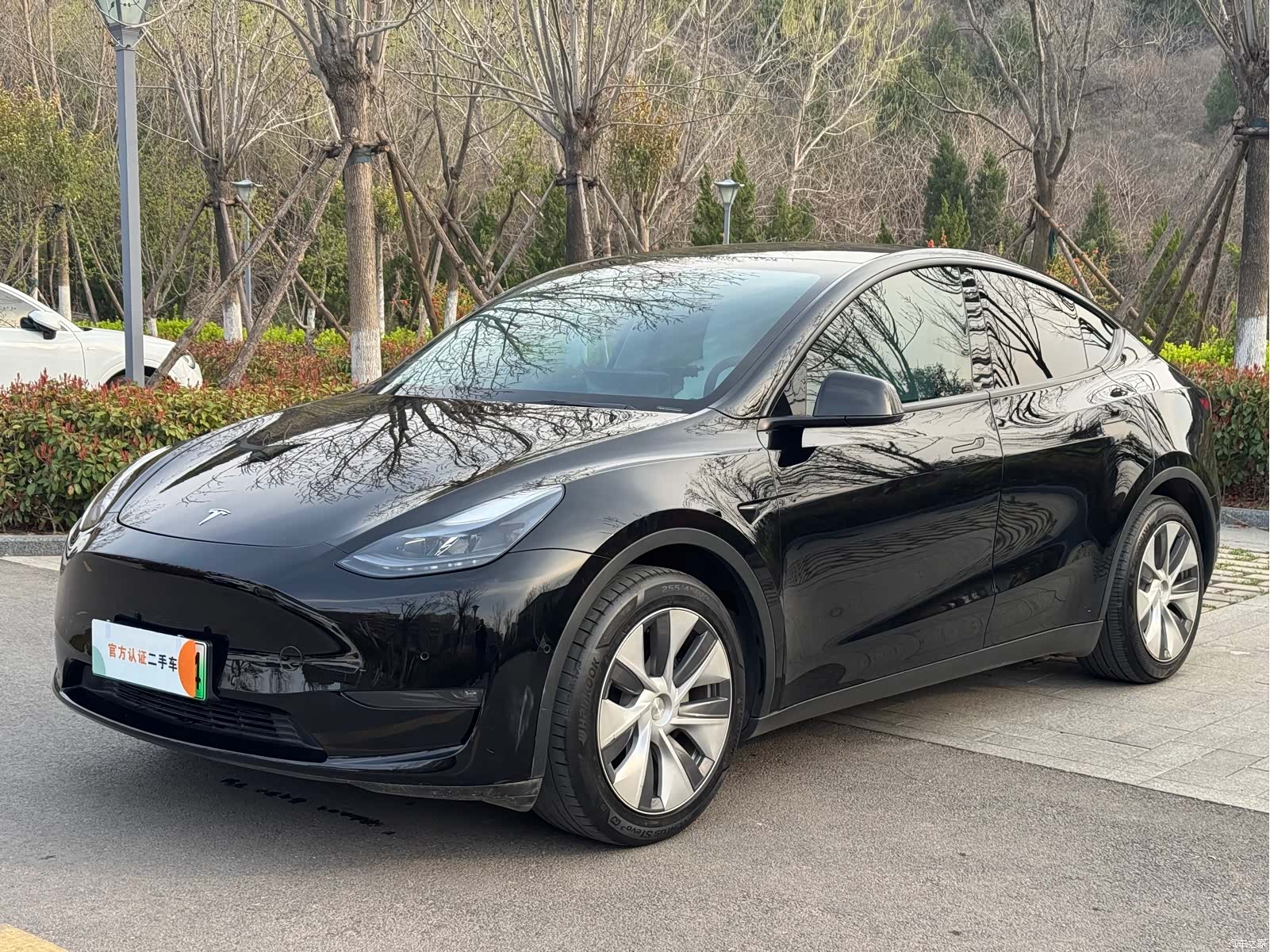 Tesla Model Y, 2021 1