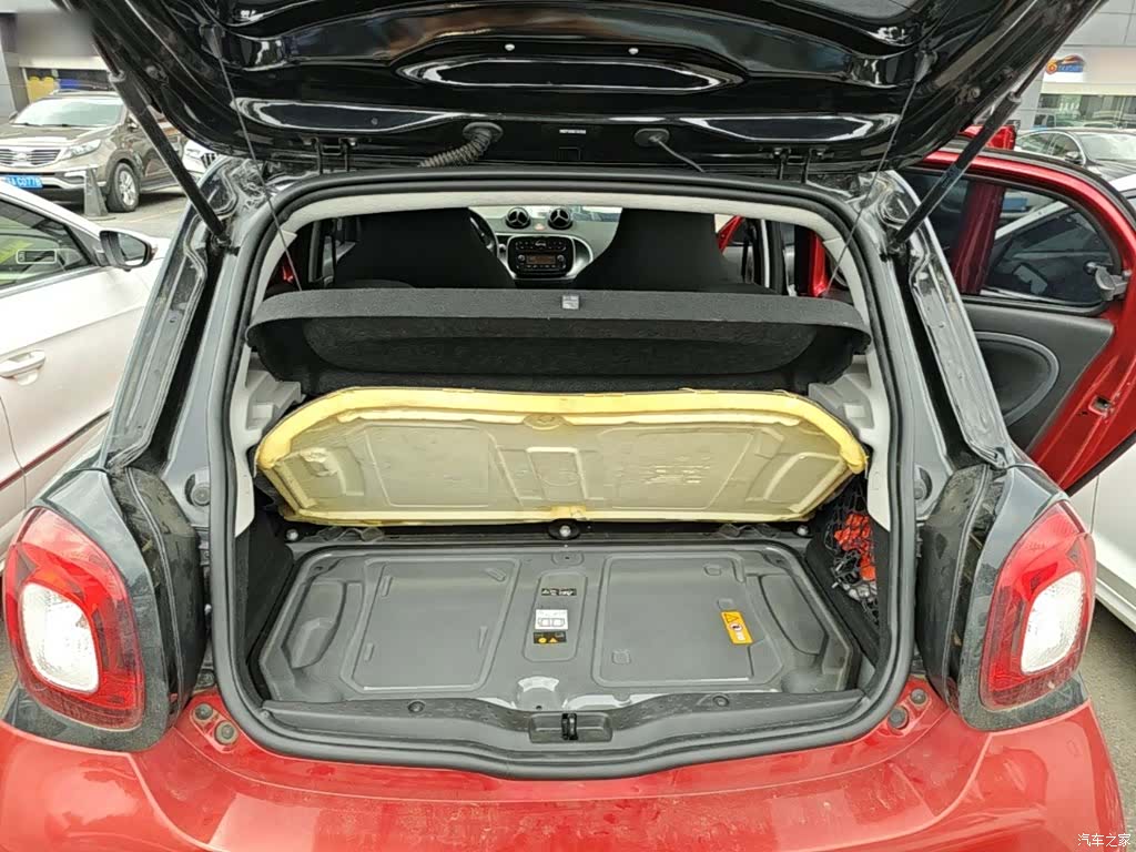 Smart Forfour, 2019 15