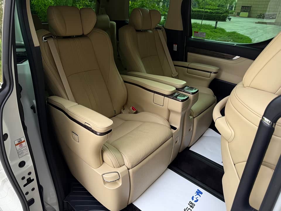 Toyota Elfa